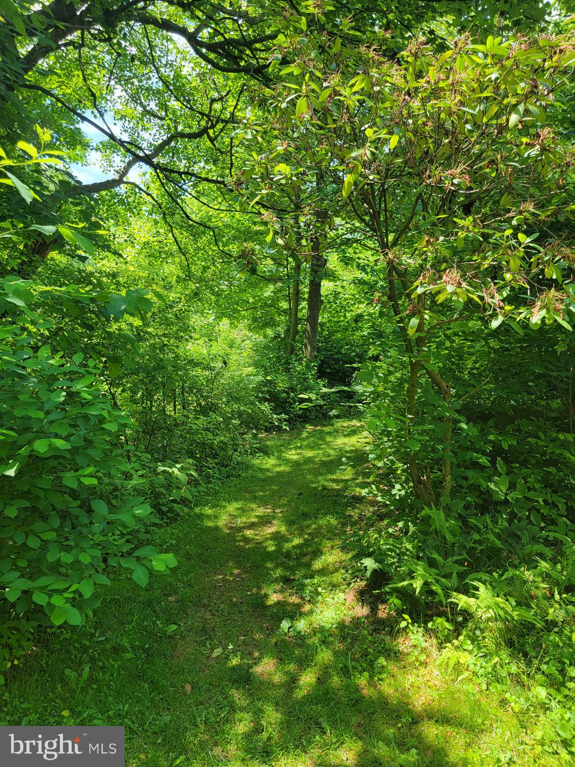 WATERS LANDING - Residential Lease