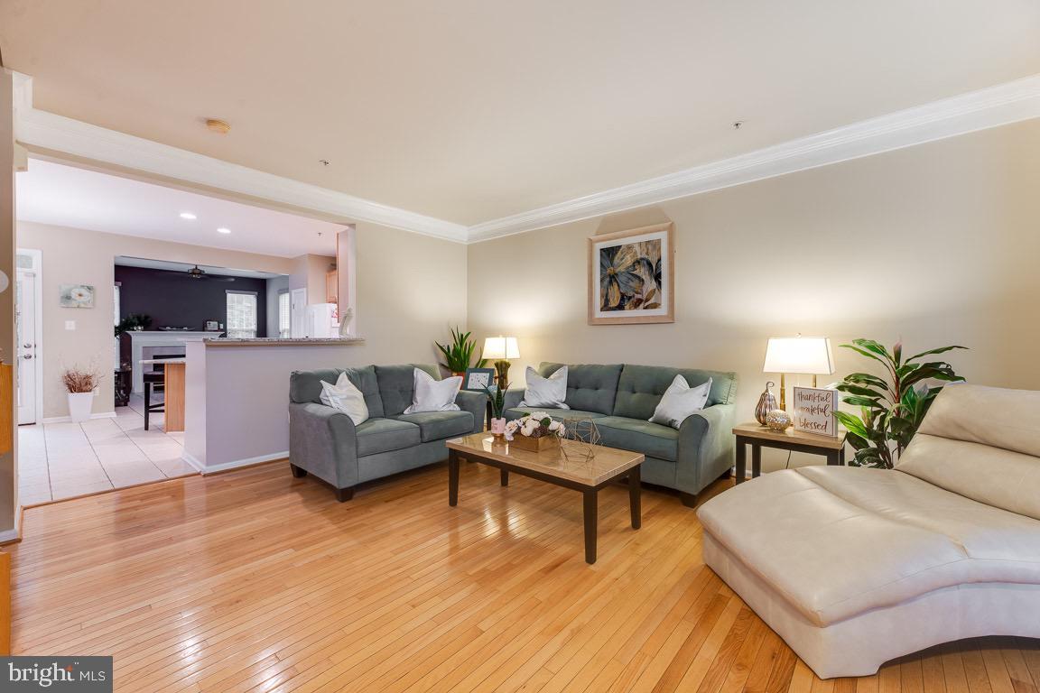 OWINGS MILLS NEWTOWN - Residential