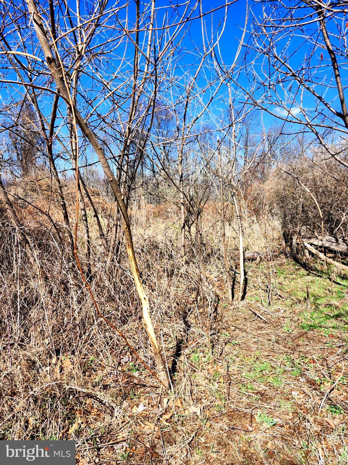 HIGH MOUNTAIN ORCHARDS - Land