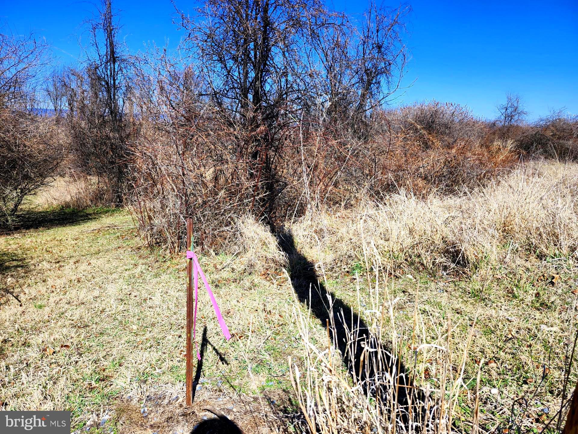 HIGH MOUNTAIN ORCHARDS - Land