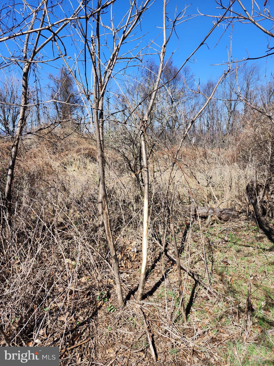 HIGH MOUNTAIN ORCHARDS - Land