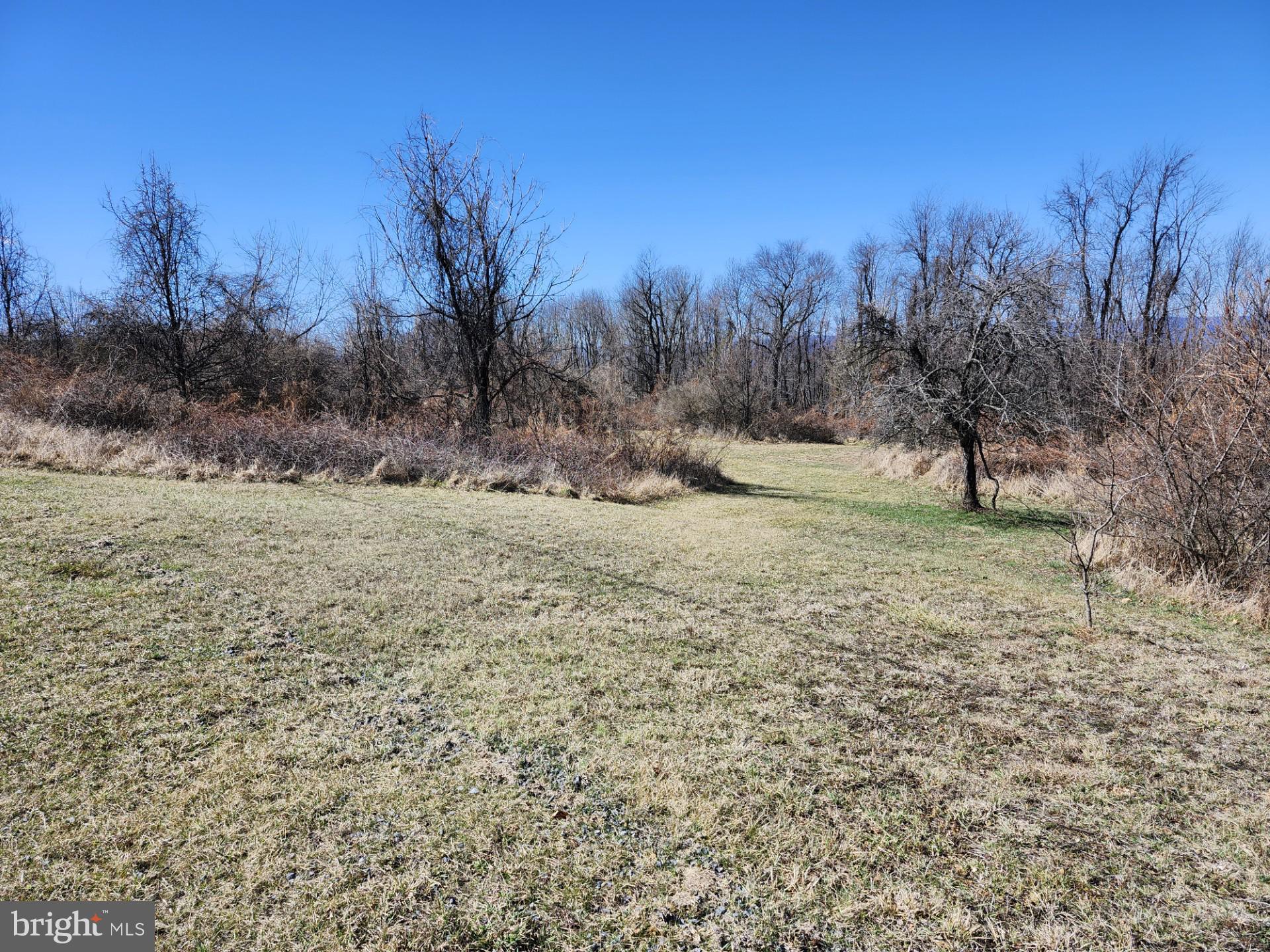 HIGH MOUNTAIN ORCHARDS - Land