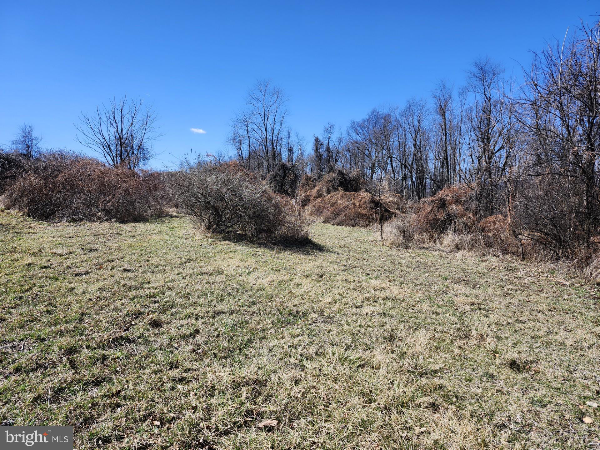 HIGH MOUNTAIN ORCHARDS - Land