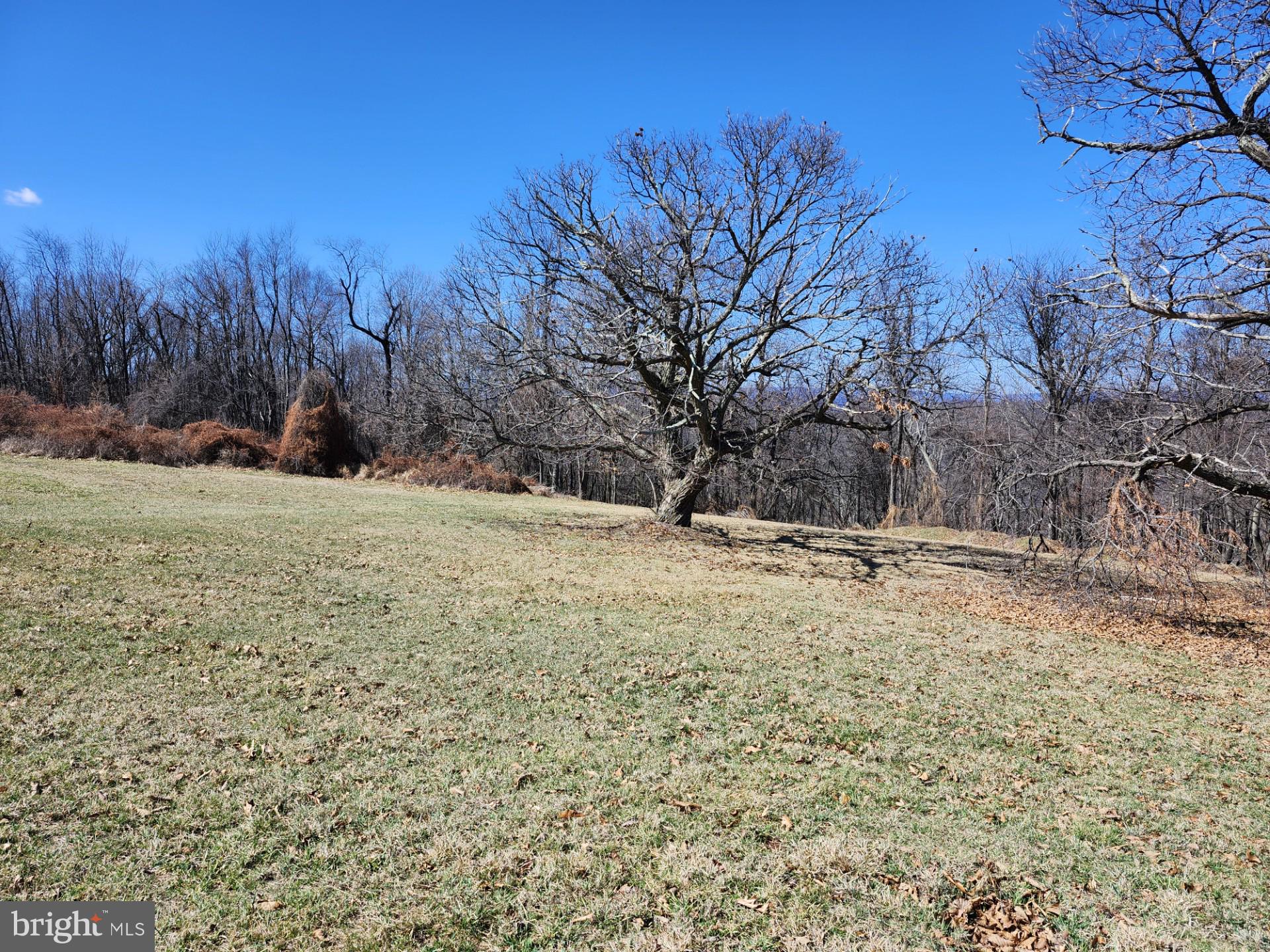 HIGH MOUNTAIN ORCHARDS - Land