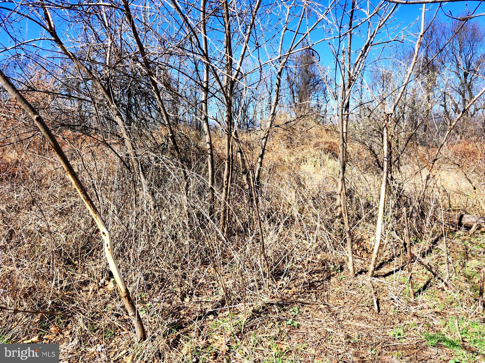 HIGH MOUNTAIN ORCHARDS - Land