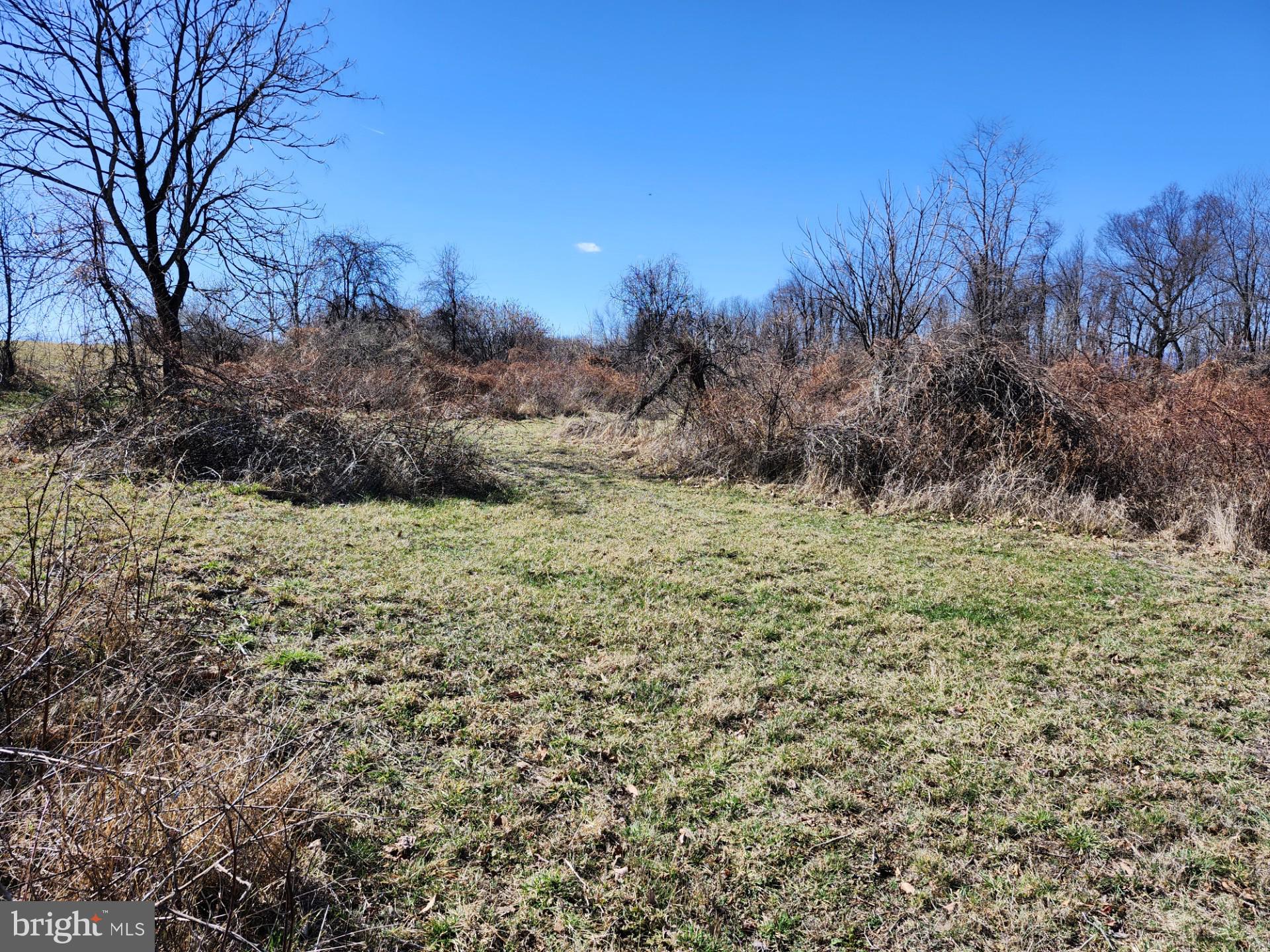 HIGH MOUNTAIN ORCHARDS - Land