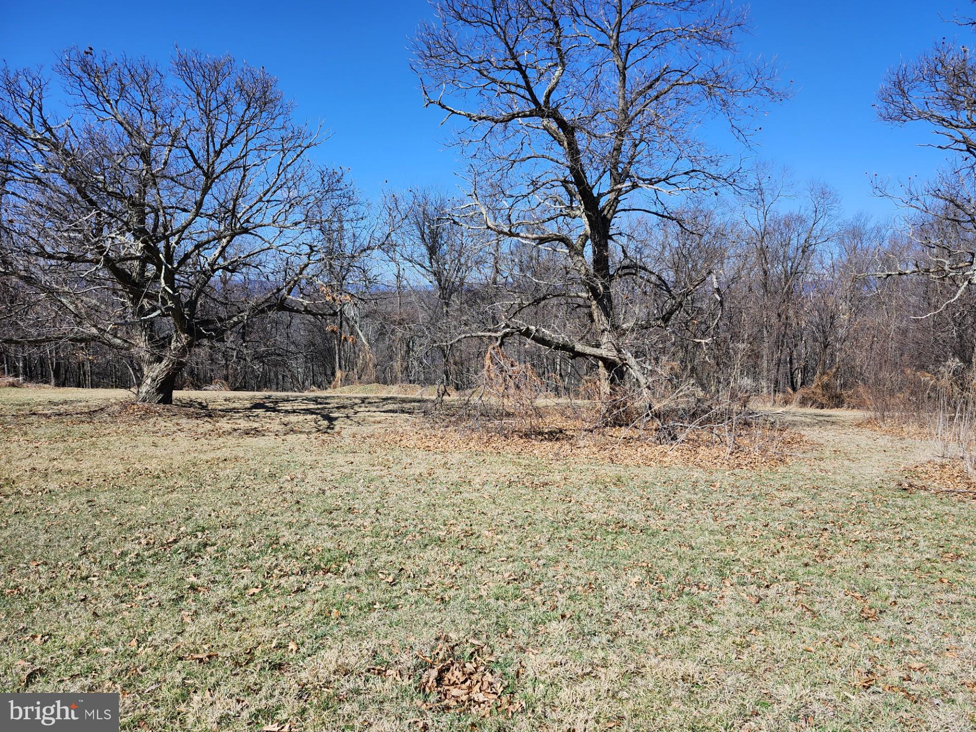 HIGH MOUNTAIN ORCHARDS - Land