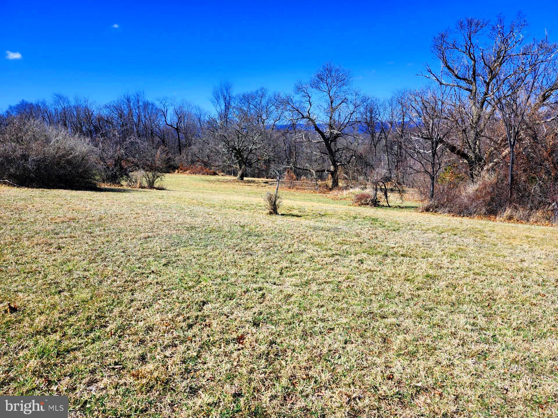 HIGH MOUNTAIN ORCHARDS - Land