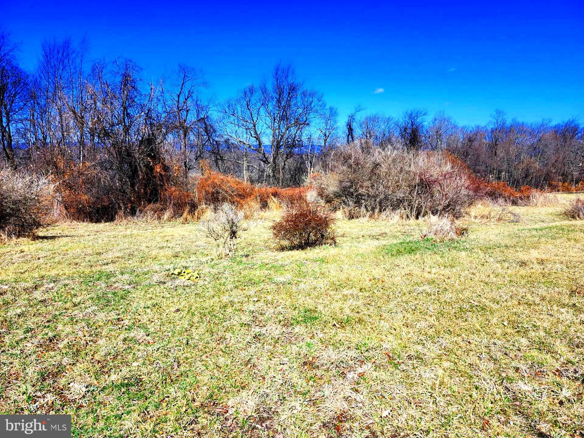 HIGH MOUNTAIN ORCHARDS - Land