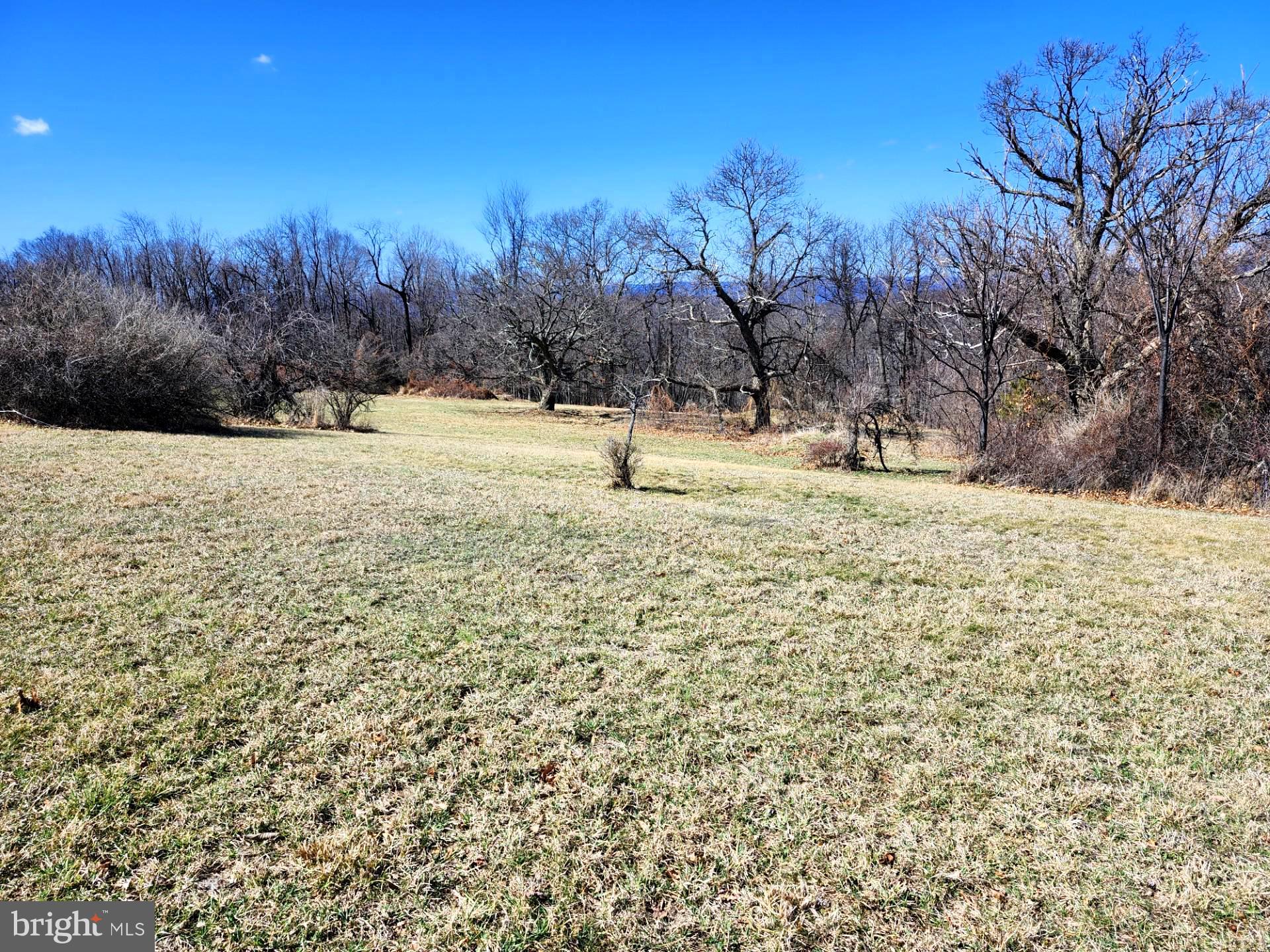 HIGH MOUNTAIN ORCHARDS - Land