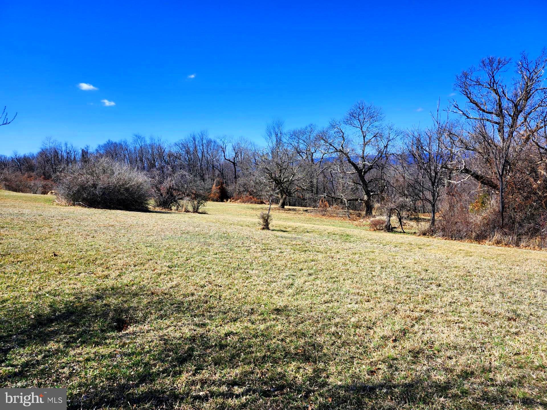 HIGH MOUNTAIN ORCHARDS - Land