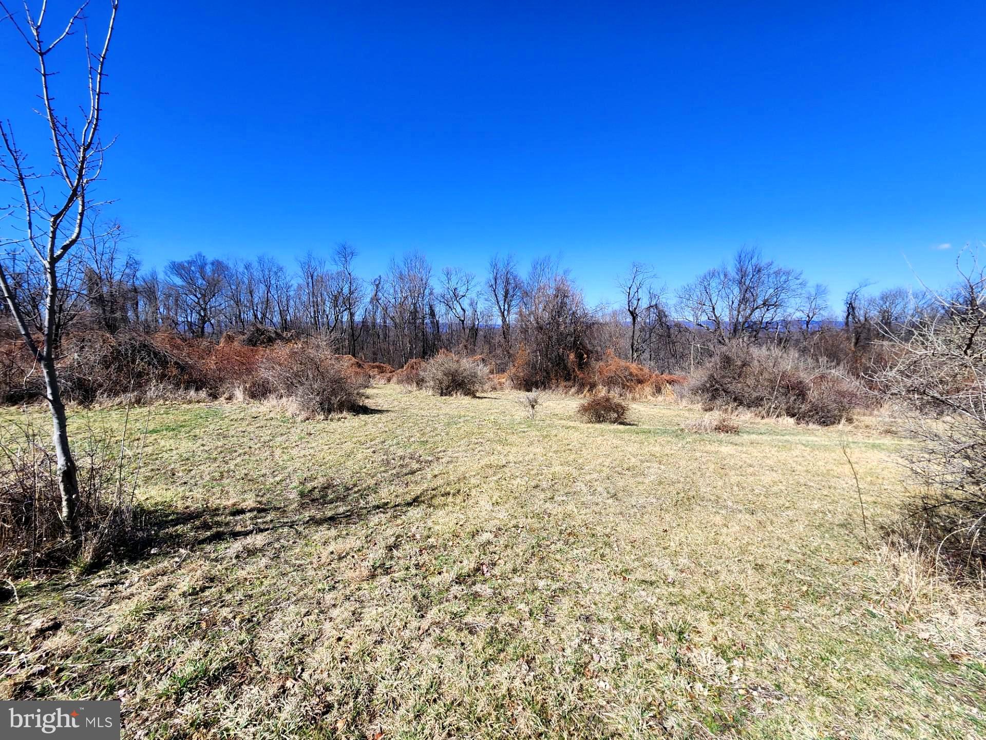 HIGH MOUNTAIN ORCHARDS - Land