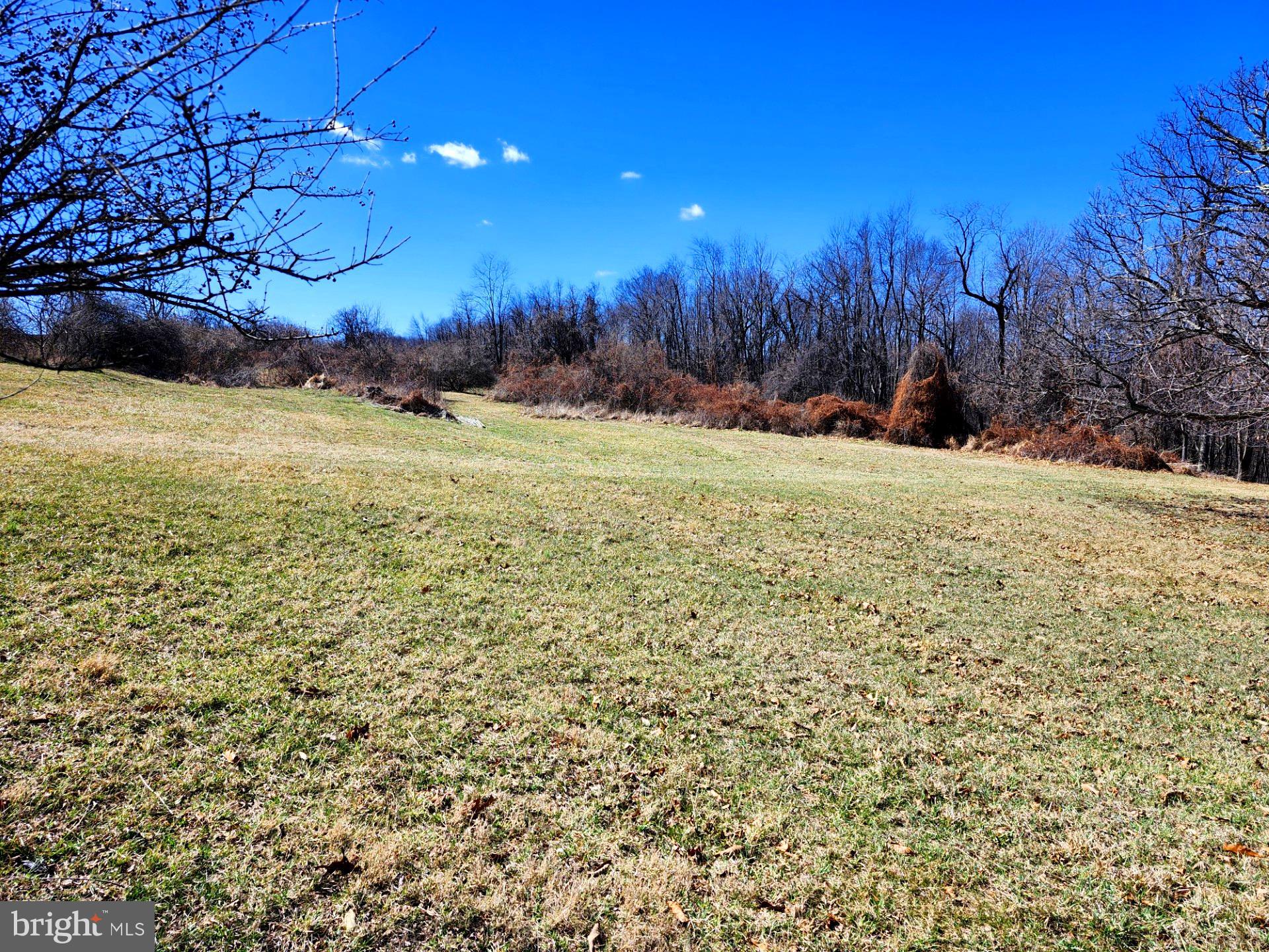 HIGH MOUNTAIN ORCHARDS - Land