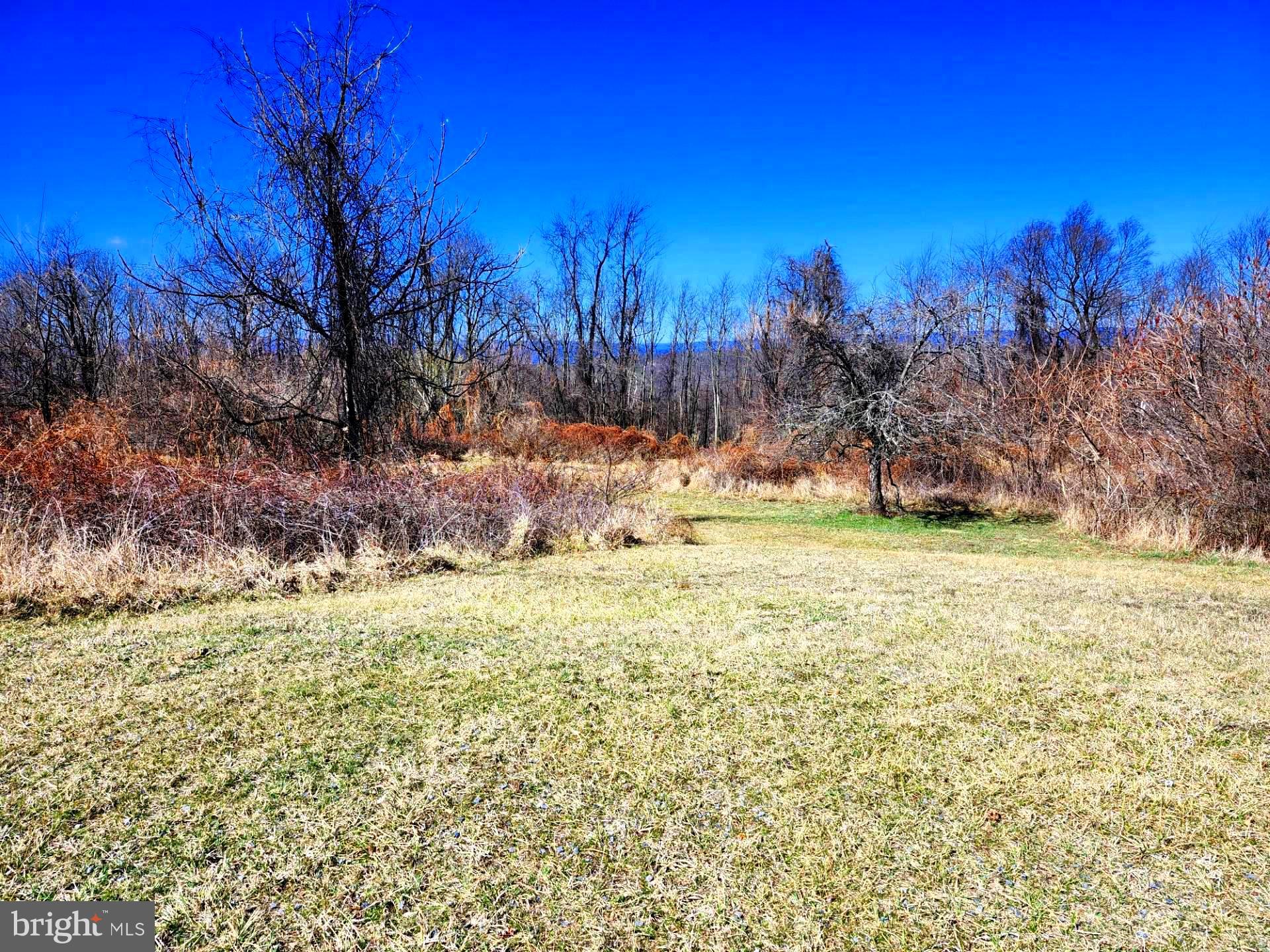 HIGH MOUNTAIN ORCHARDS - Land