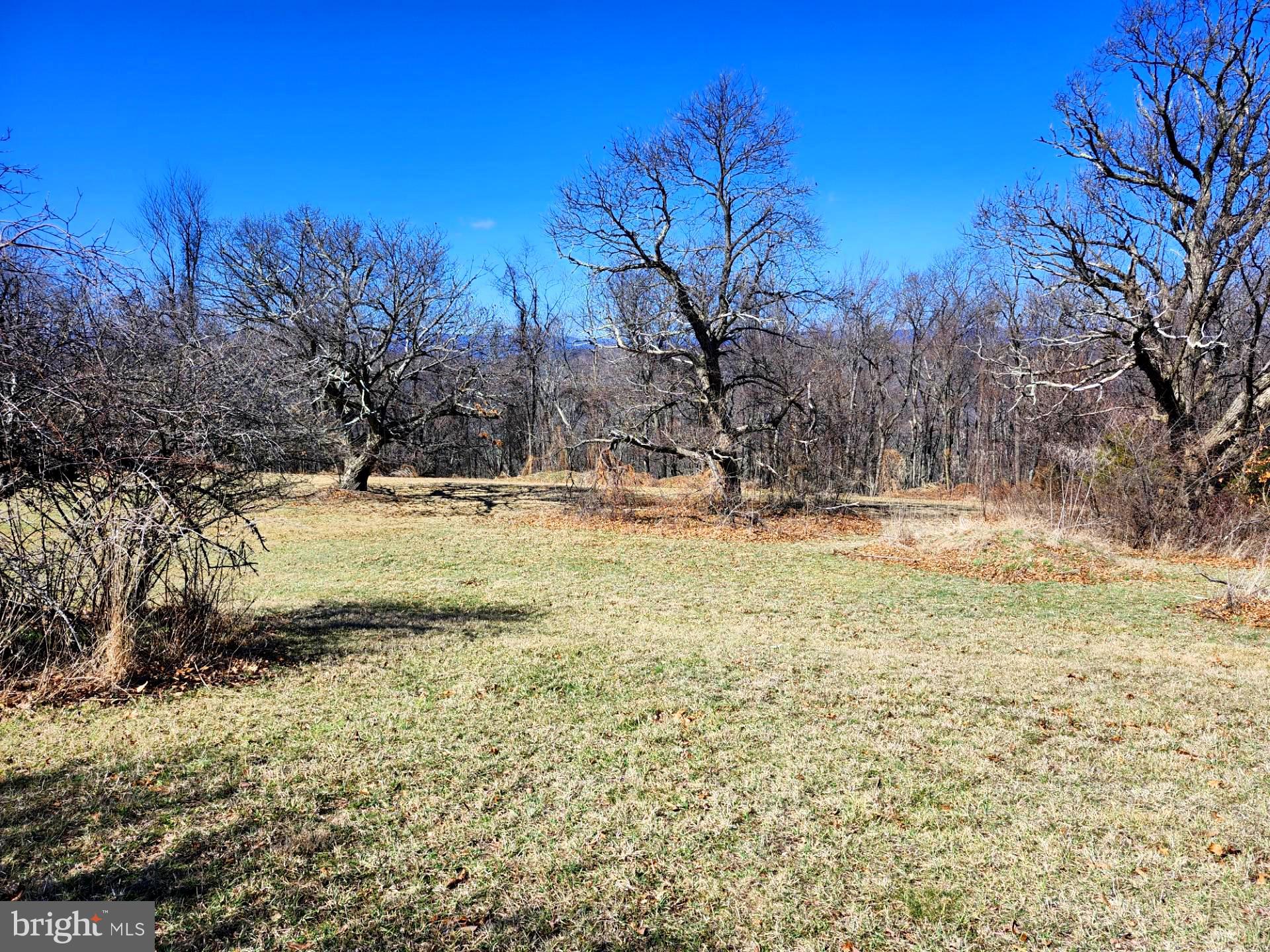 HIGH MOUNTAIN ORCHARDS - Land