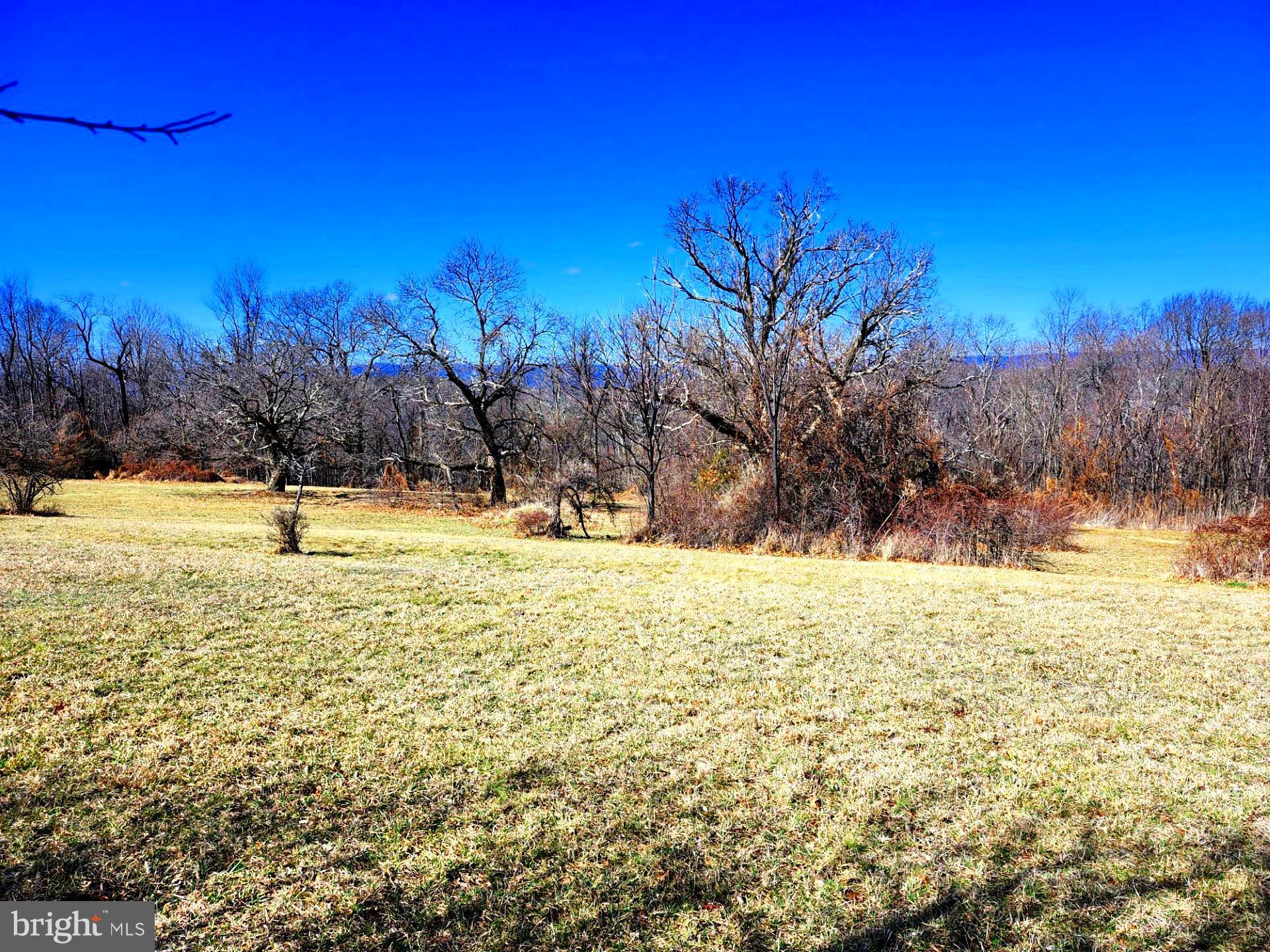 HIGH MOUNTAIN ORCHARDS - Land