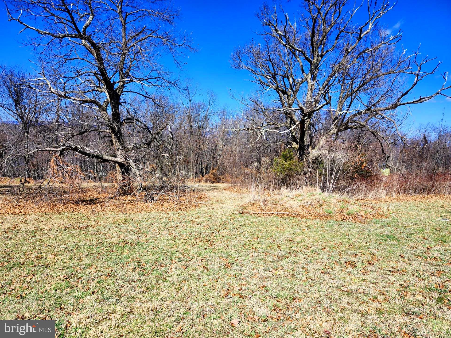 HIGH MOUNTAIN ORCHARDS - Land