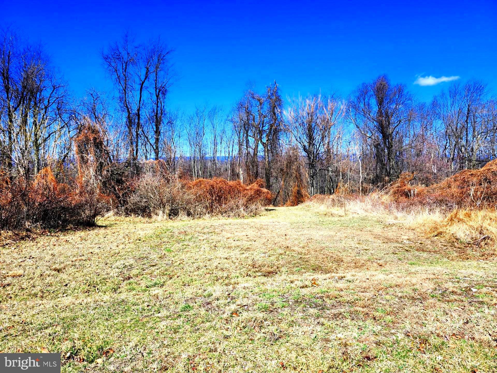 HIGH MOUNTAIN ORCHARDS - Land