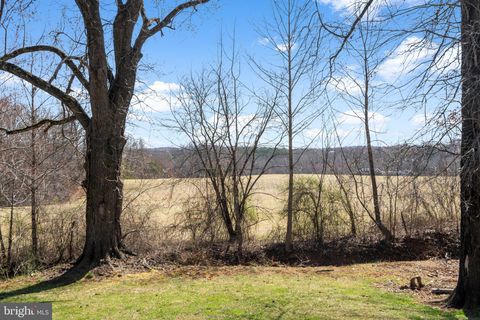 listing image 49