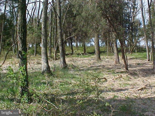 NONE AVAILABLE - Land