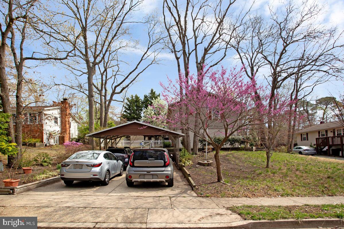 BOULEVARD PARK - Residential