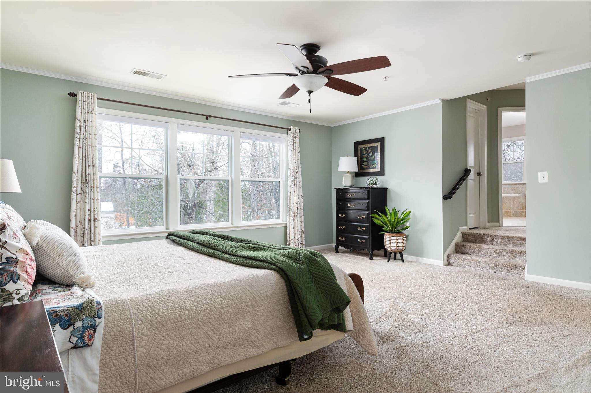 SARANAC - Residential