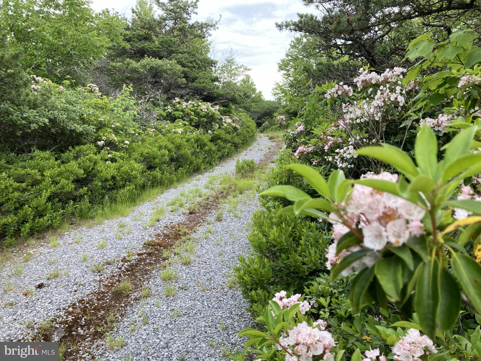 KILE KNOB - Residential