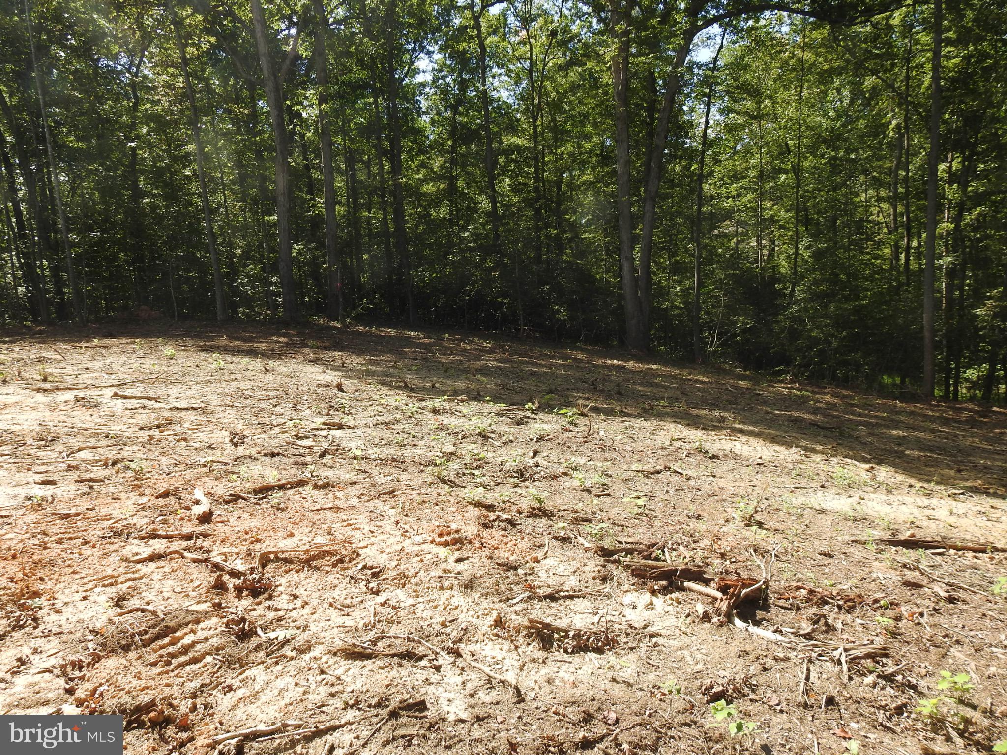 EQUESTRIAN LANDING - Land