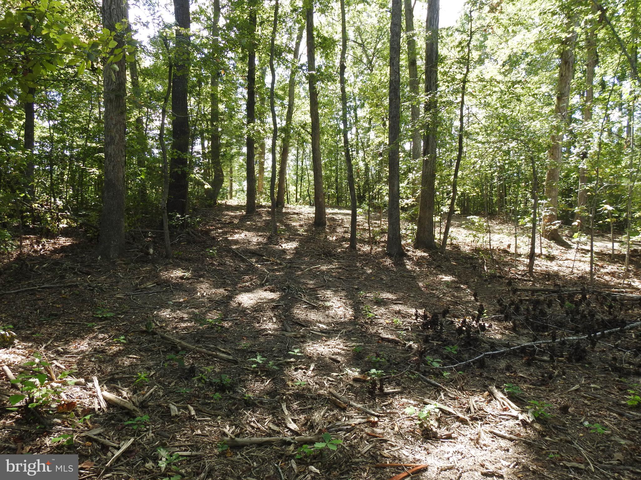 EQUESTRIAN LANDING - Land