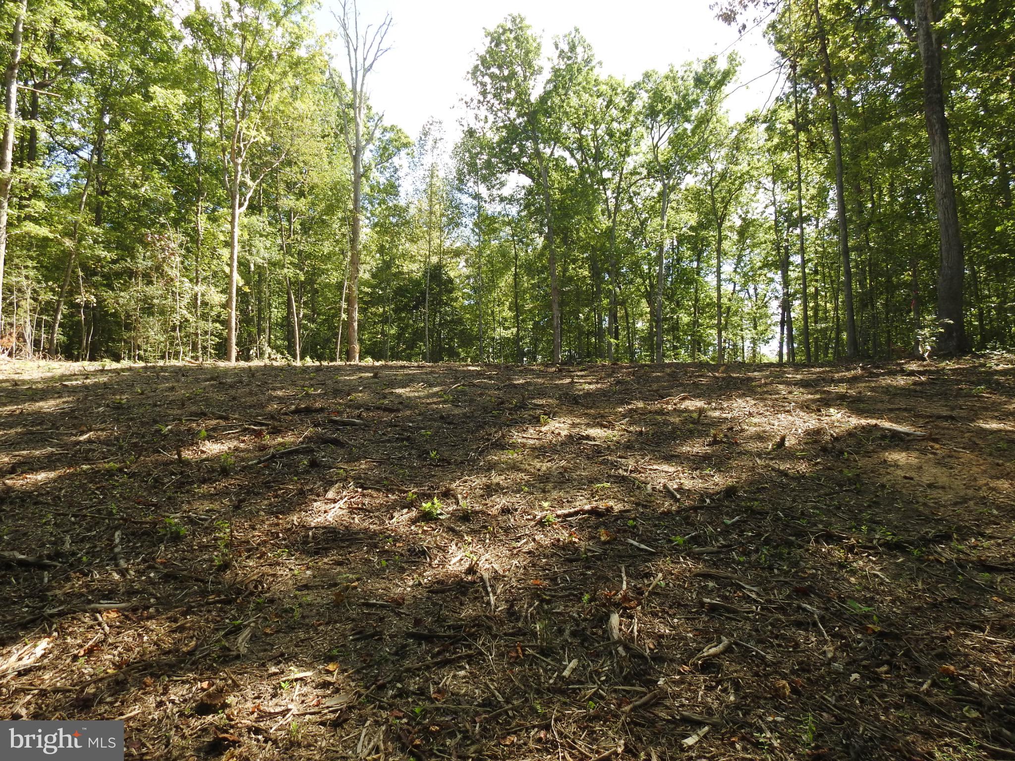 EQUESTRIAN LANDING - Land