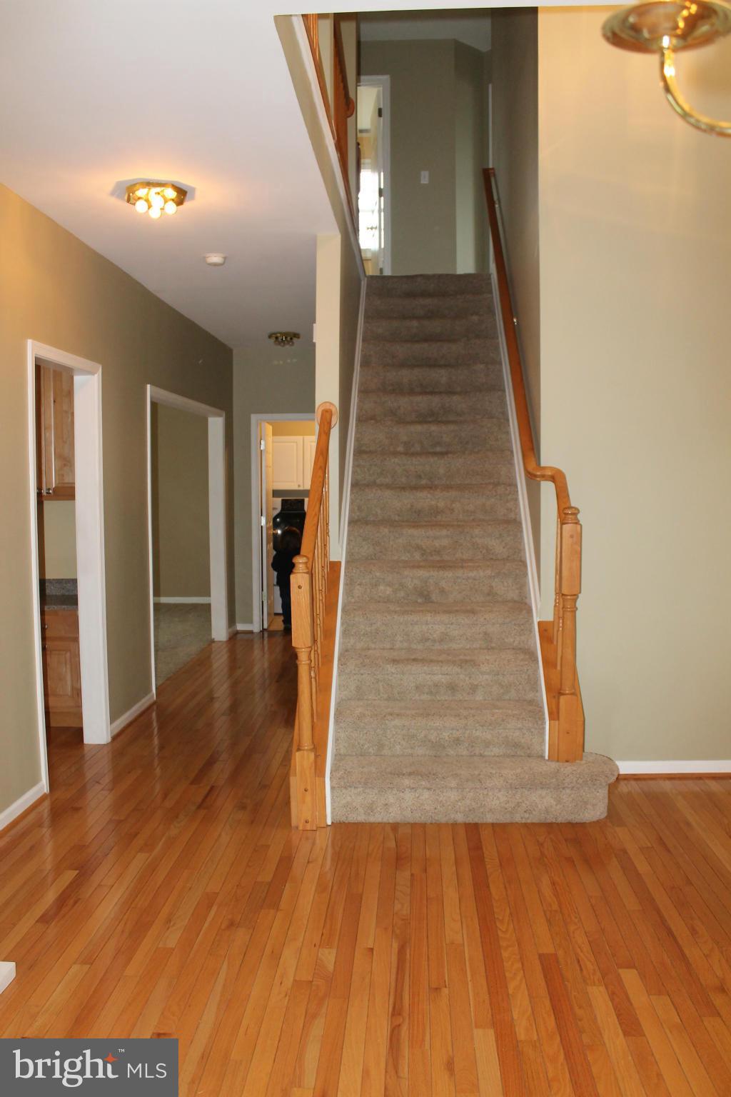 ANCHORAGE - Residential Lease