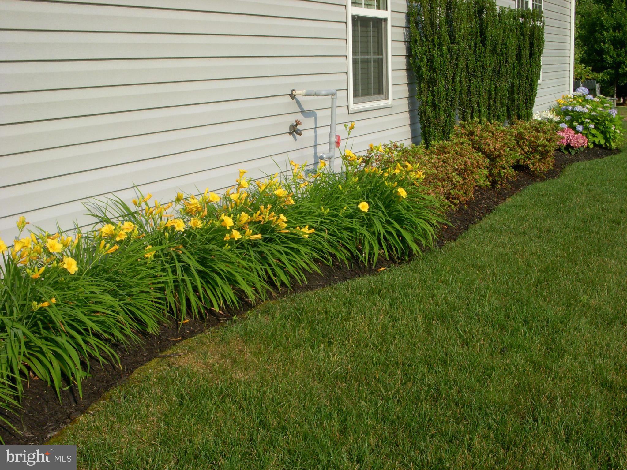 FOUR SEASONS - Residential