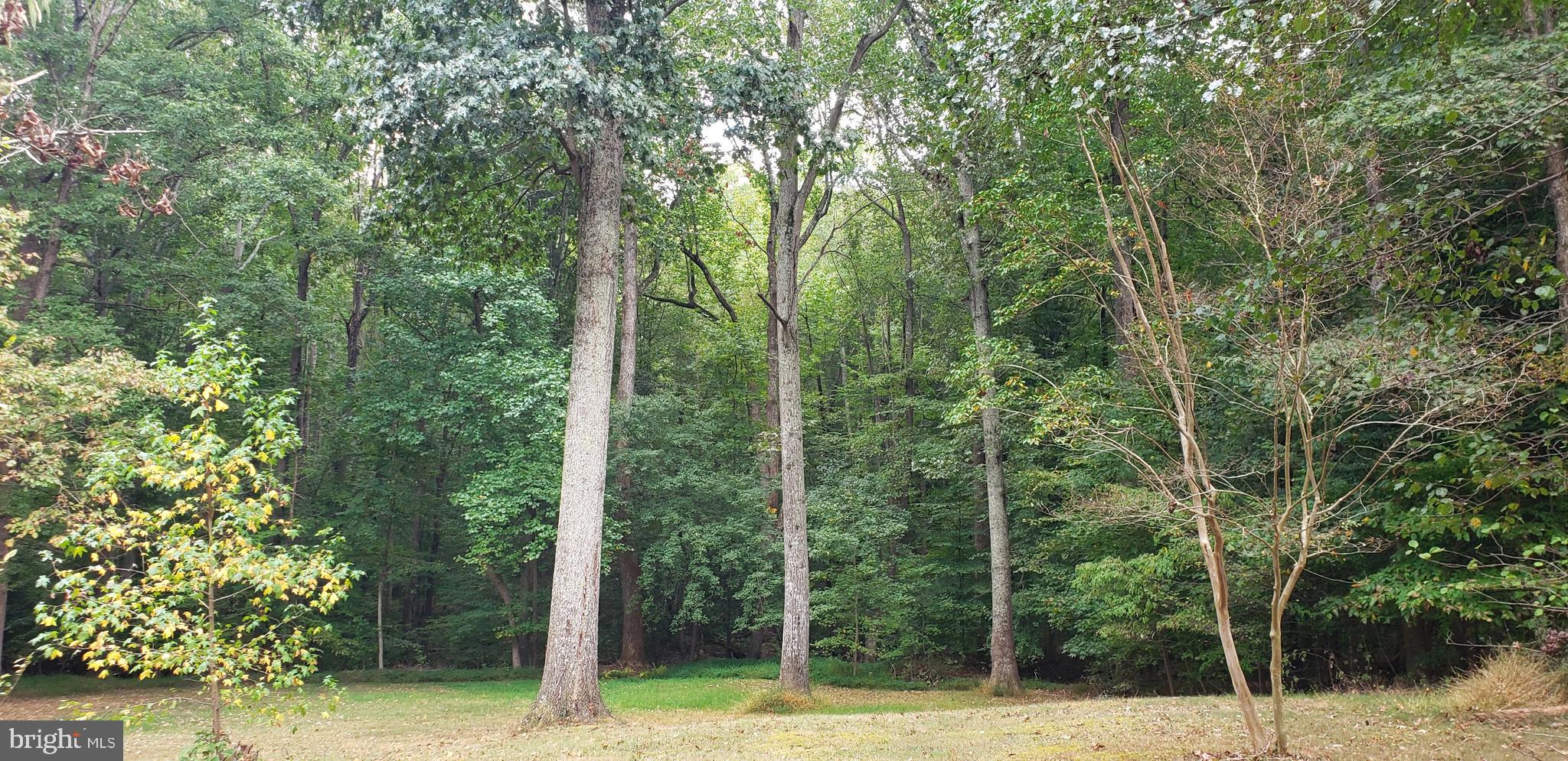 BILLINGSLEY PARK - Residential