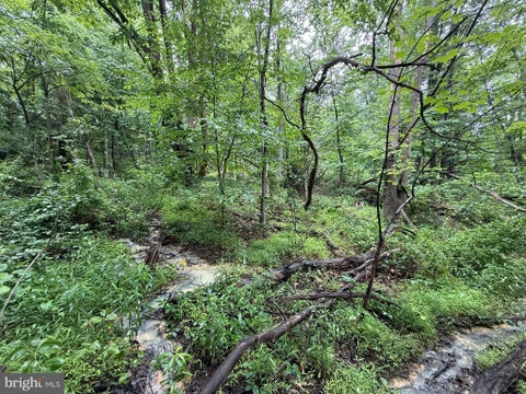 Vacant Land For Sale - Rock Street<br/> WESTERNPORT, MD 21562