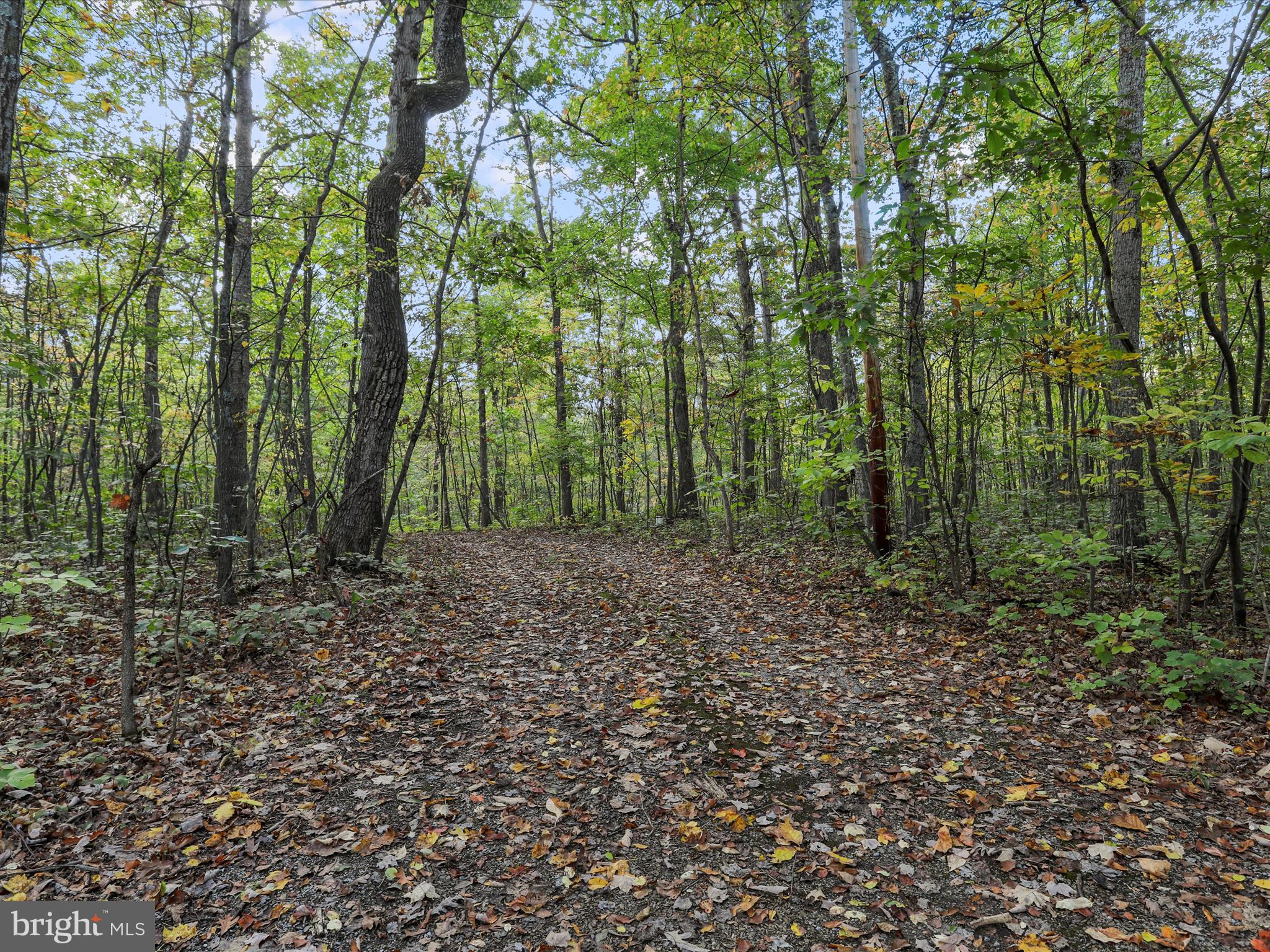 MONTEVALLO HILLS - Residential