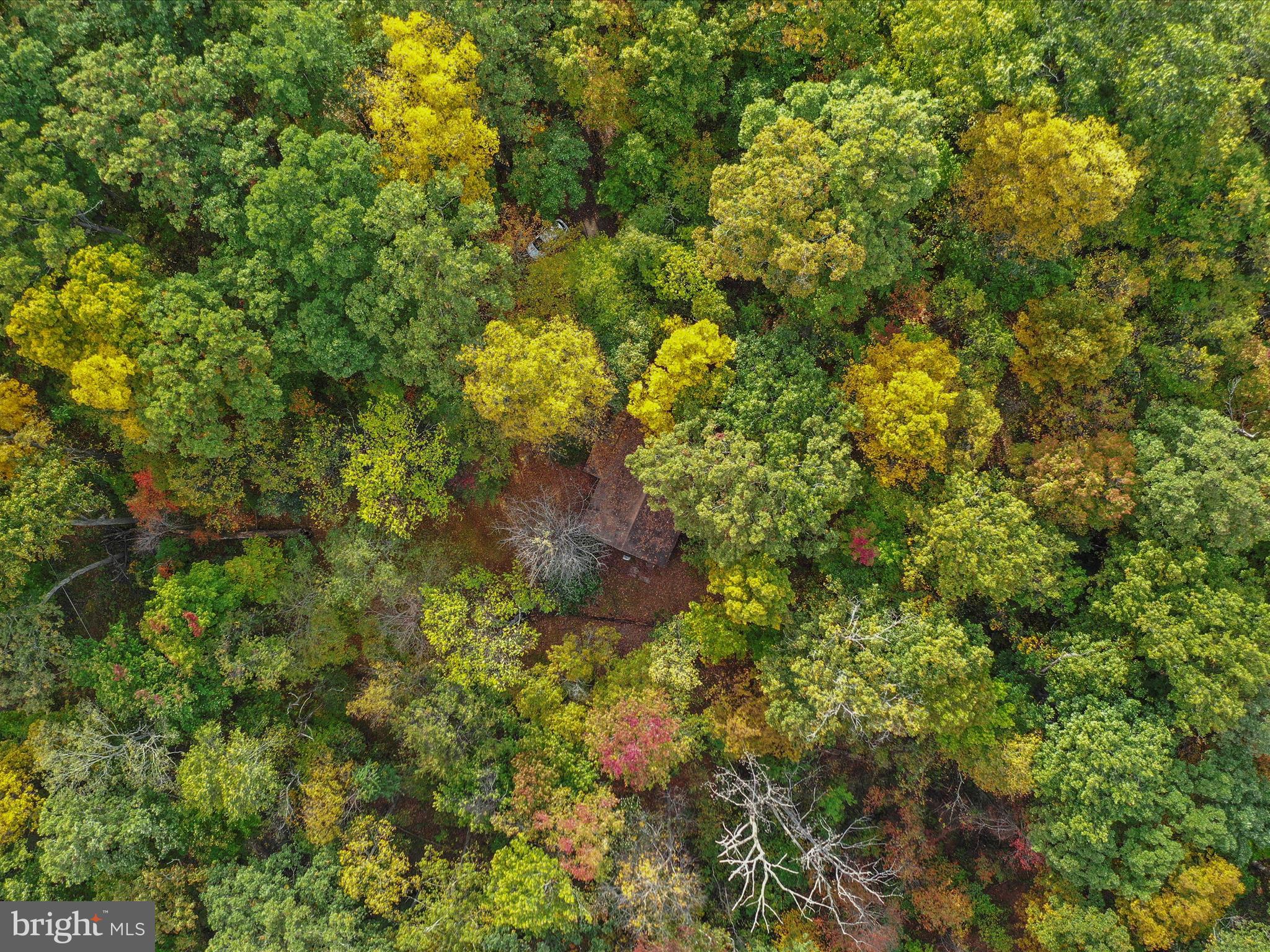 MONTEVALLO HILLS - Residential