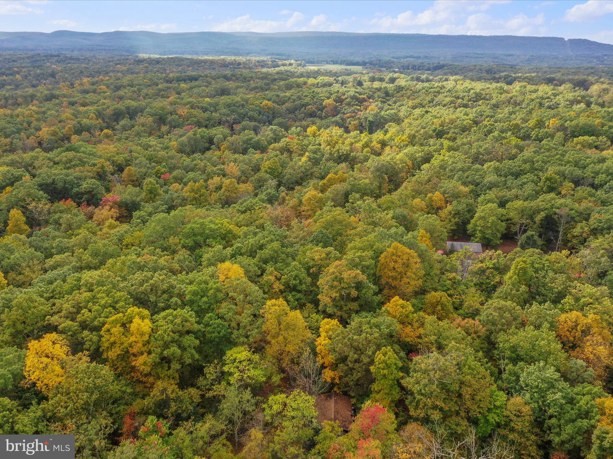 MONTEVALLO HILLS - Residential