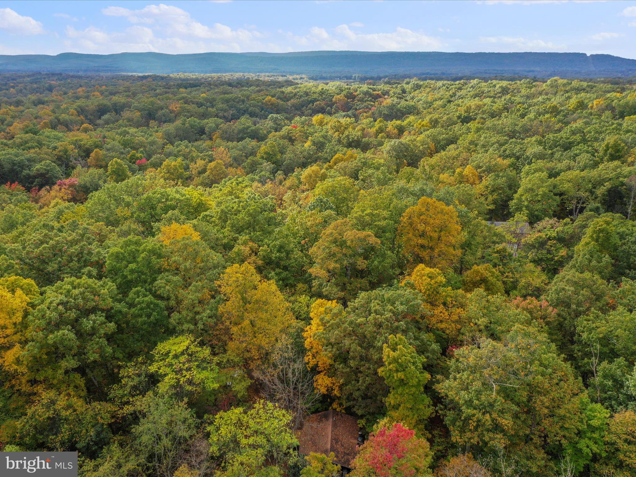 MONTEVALLO HILLS - Residential