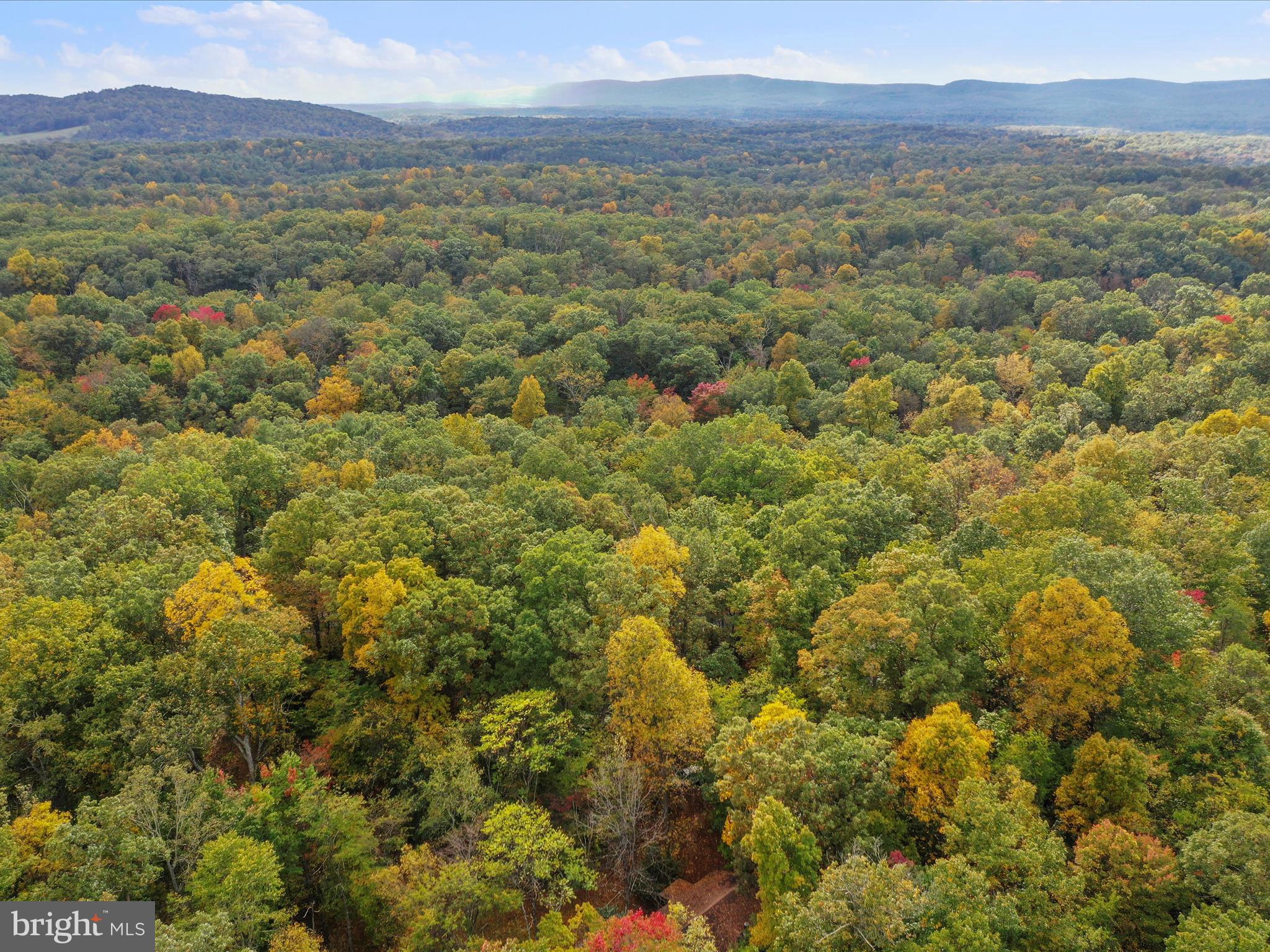 MONTEVALLO HILLS - Residential