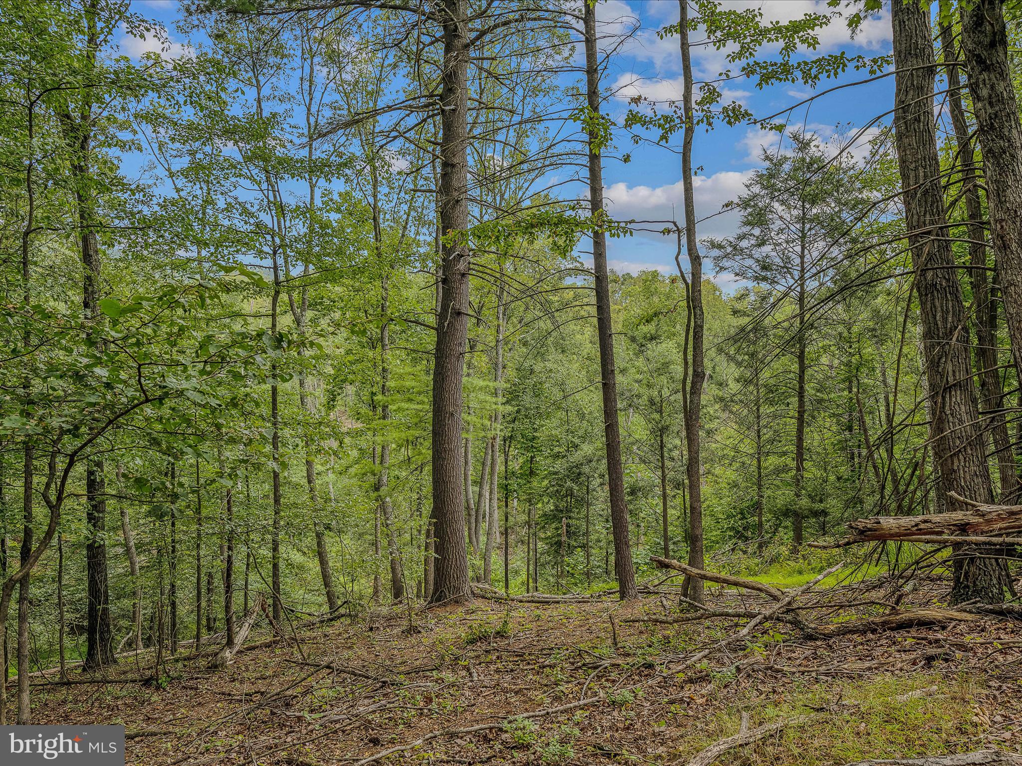 SLEEPY HOLLOW SUBDIVISION - Residential