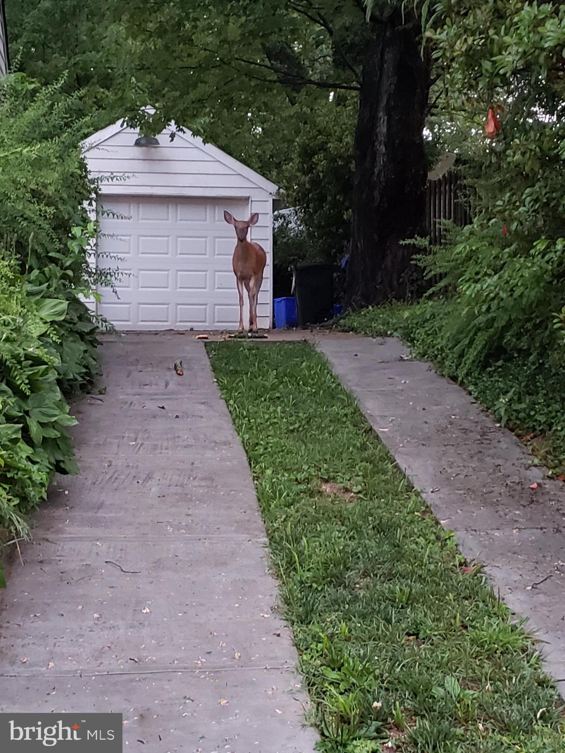 BALLANTRAE - Residential