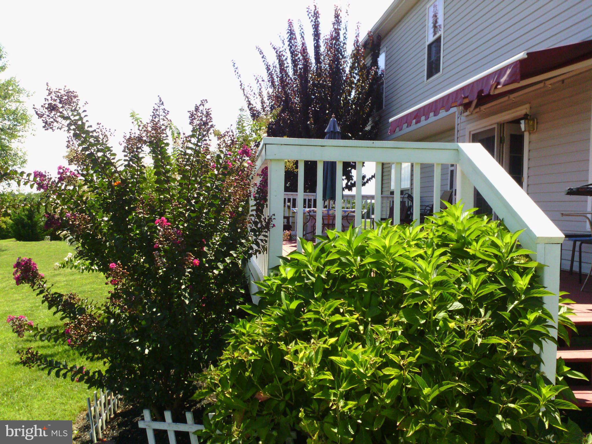 HOLLIS MANOR - Residential