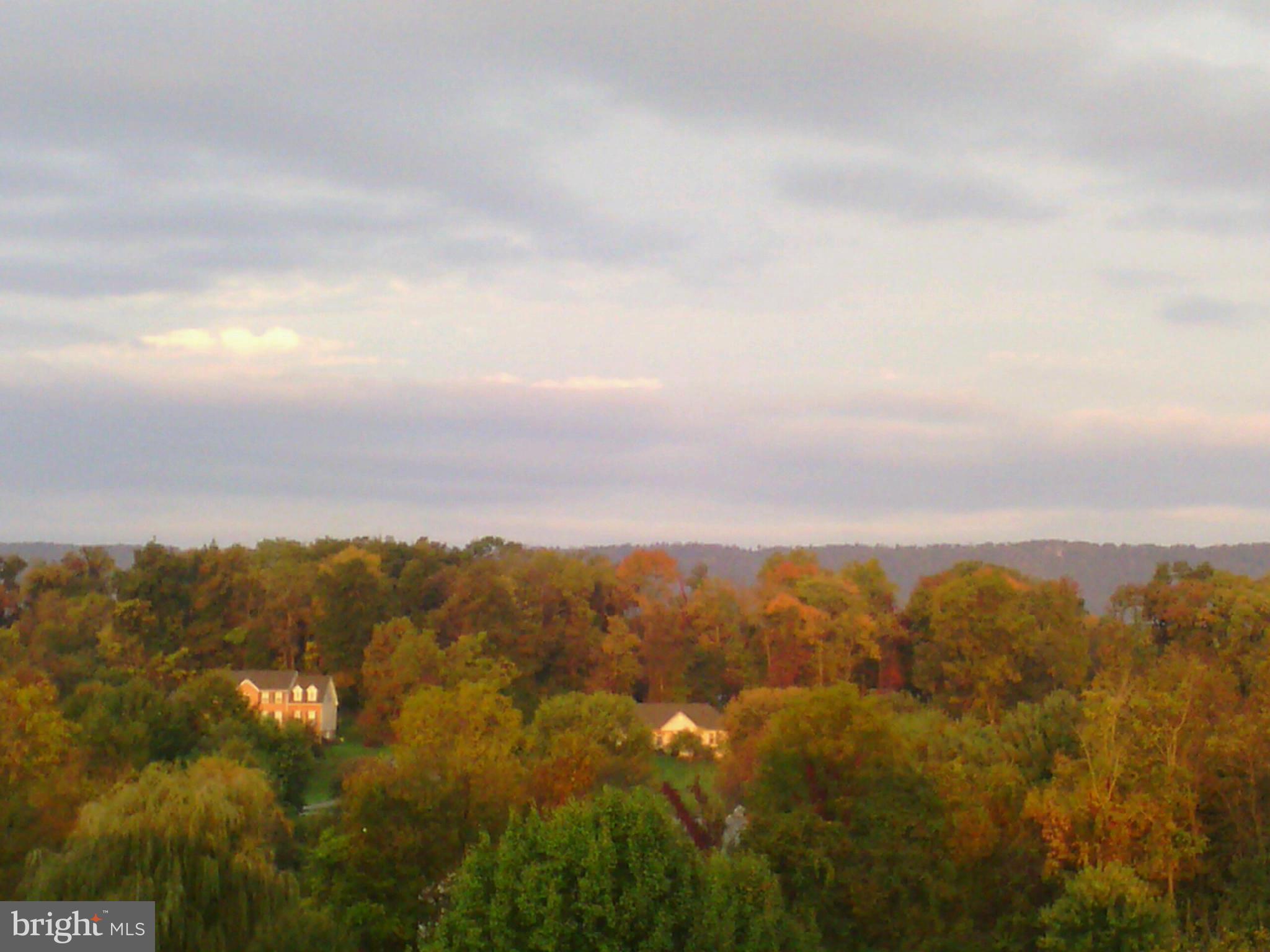 HOLLIS MANOR - Residential