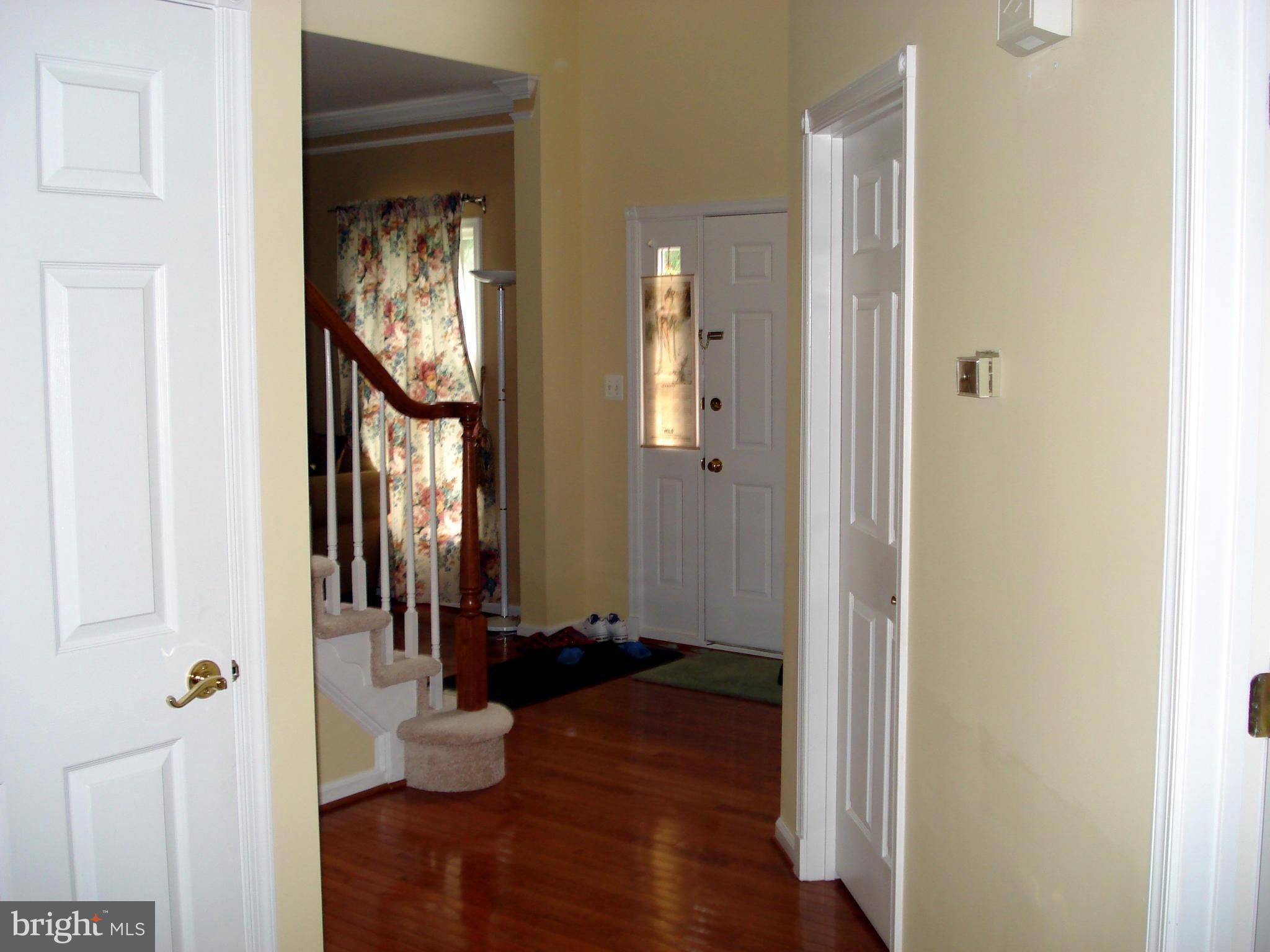 22008 IVY LEAF DRIVE