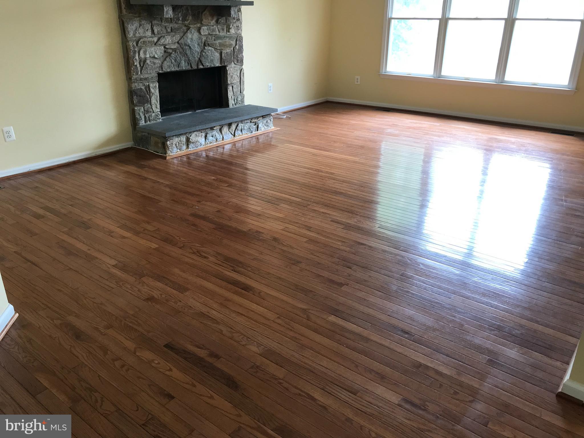 22008 IVY LEAF DRIVE