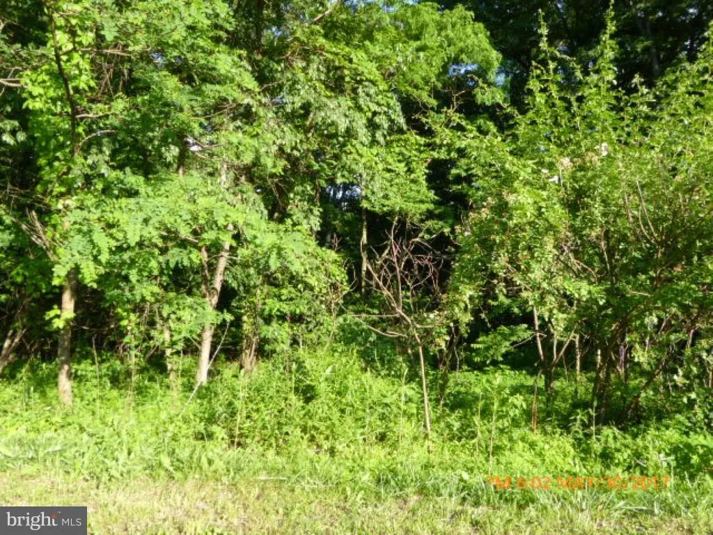 Additional image 2 of Shady Ln/Jeffery Drive, Augusta, WV 26704