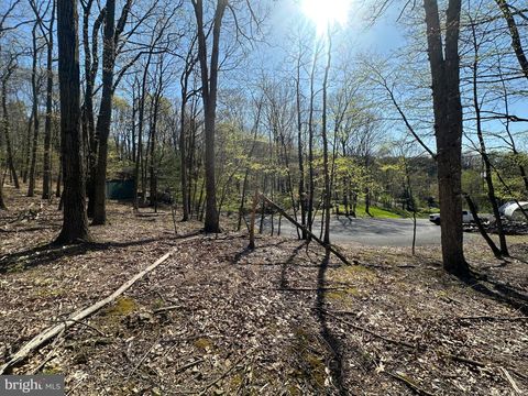 Photo of 2222 Tonto Cove, AUBURN, PA 17922 (MLS # PASK2026844)