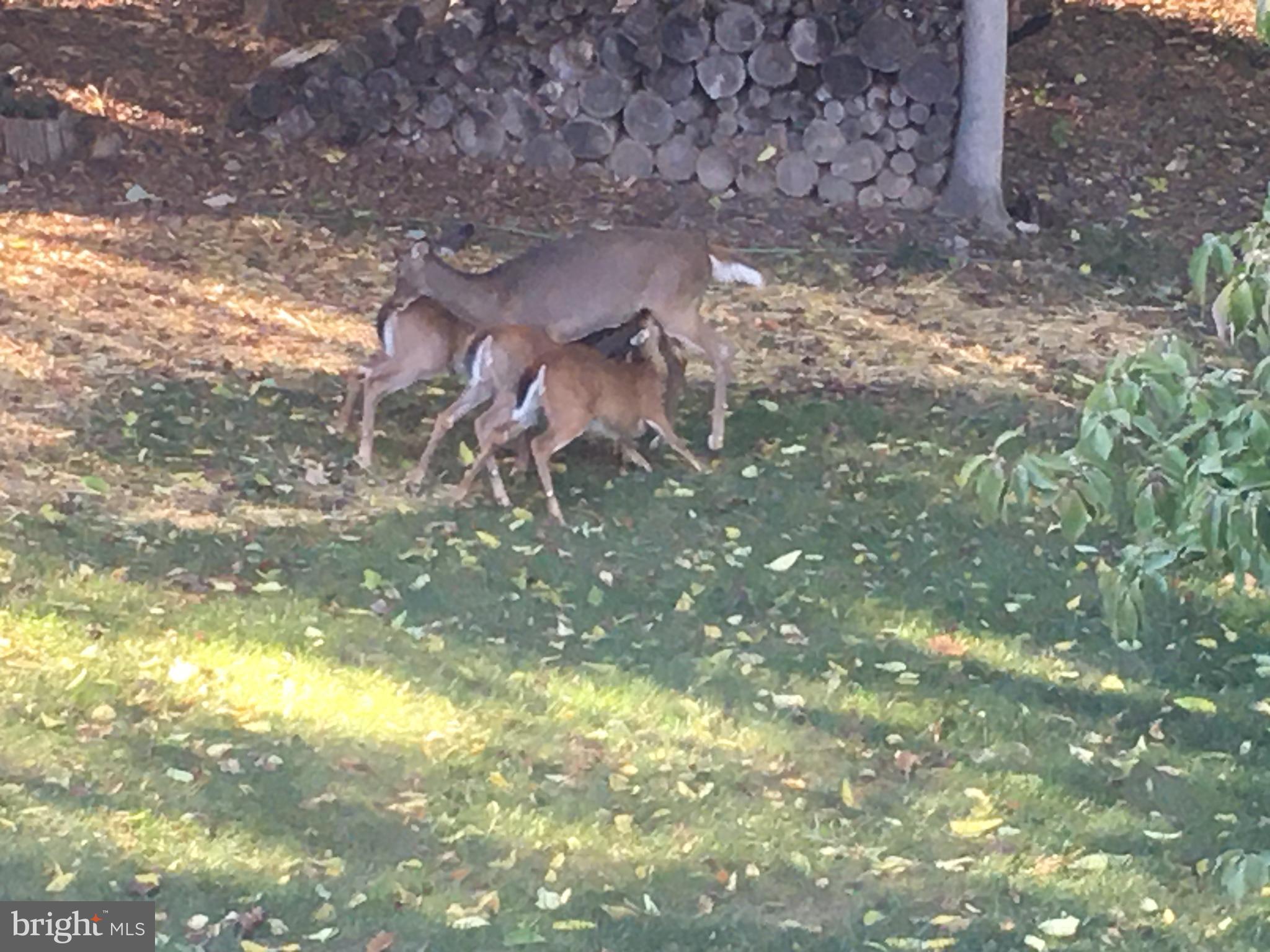 APPLE KNOLLS ESTATES - Residential