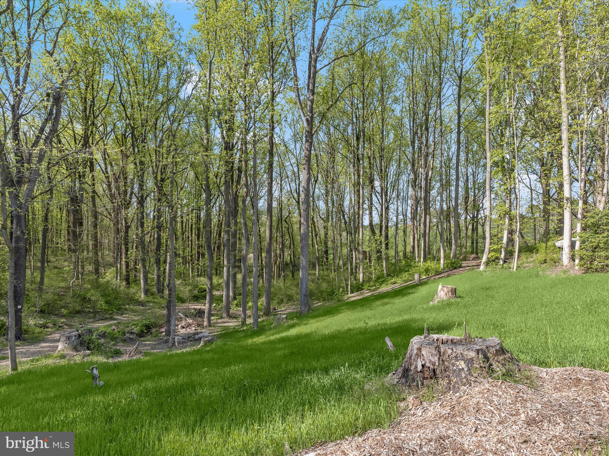 GLEN ARM - Residential