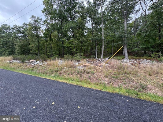 LOT 262 INCA, WINCHESTER, VA 22602 - Image afd9be3fada8f97838f9d227dfcd887f/1646803548